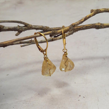 Boucles d'oreilles anneau fermé et citrine